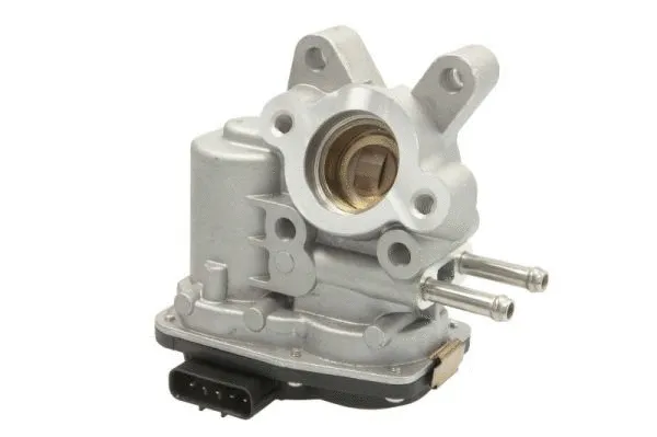 EGR Valve (ENT500020)