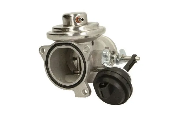 EGR Valve (ENT500089)