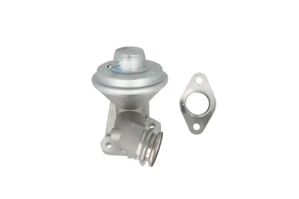 EGR Valve (ENT500094)