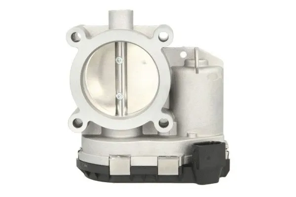 Throttle Body (ENT310031)