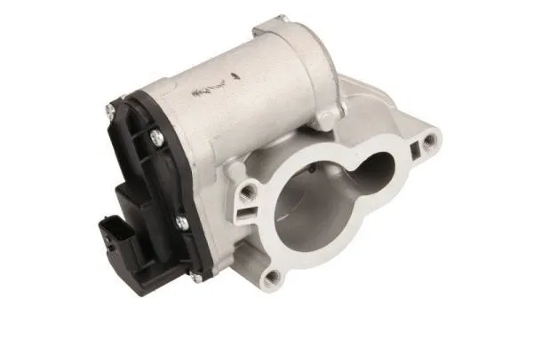 EGR valve, exhaust control