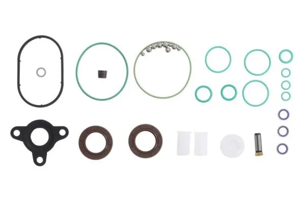 Seal Kit, injector pump (ENT210039)