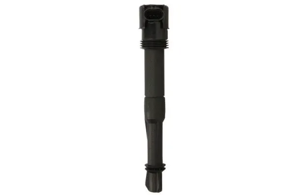 Ignition Coil (ENT960108)