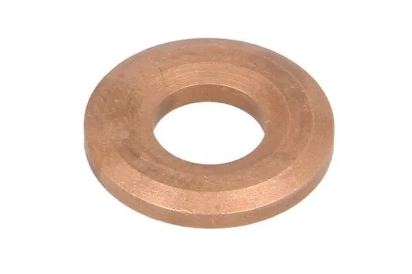 Seal, injector holder (ENT250050)