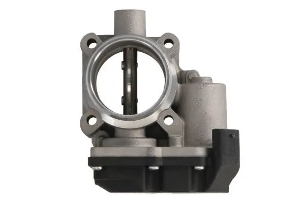 Throttle Body (ENT310049)