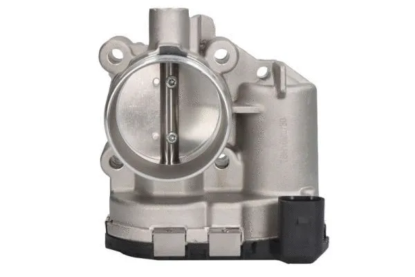 Throttle Body (ENT310054)