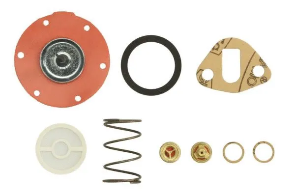 Repair Kit, fuel pump (ENT110296)