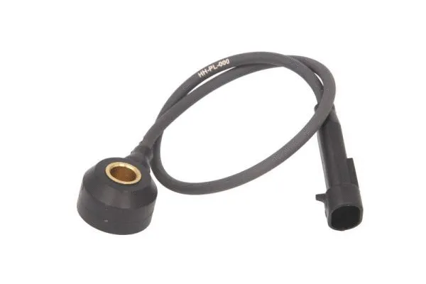 Knock Sensor (ENT850005)