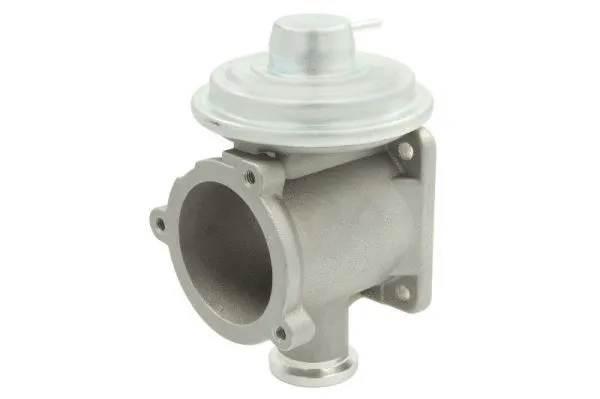 EGR Valve (ENT500079)