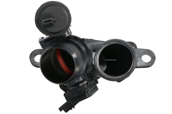 Throttle Body (ENT310058)