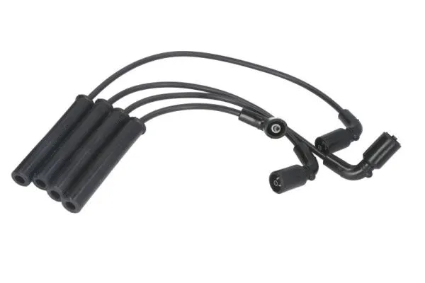 Ignition Cable Kit (ENT910006)