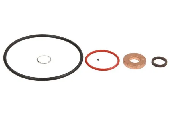 Repair Kit, injection nozzle (ENT250496)