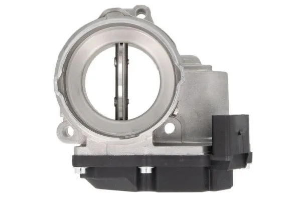 Throttle Body (ENT310017)
