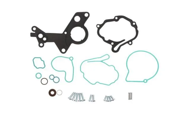 Repair Set, vacuum pump (braking system) (ENT410002)