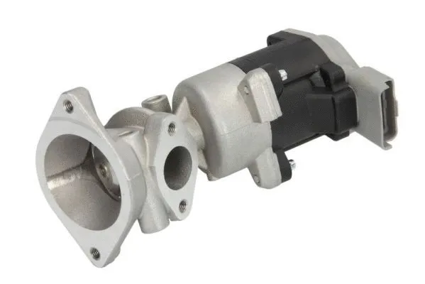 EGR Valve (ENT500065)