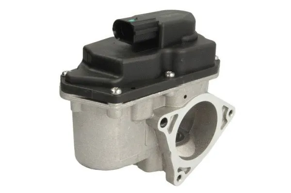 EGR Valve (ENT500025)