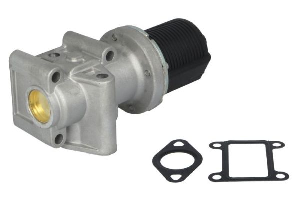 EGR Valve (ENT500023)