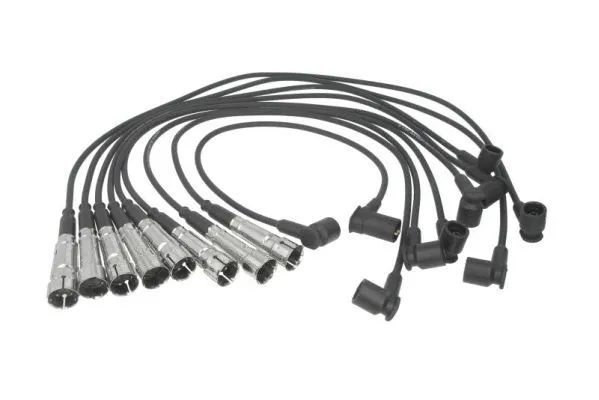 Ignition Cable Kit (ENT910279)