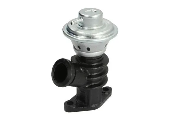 EGR Valve (ENT500095)