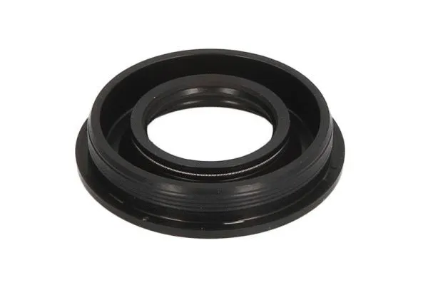 Seal Ring, injector