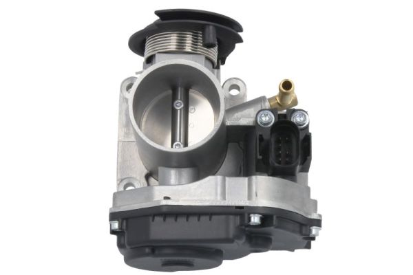 Throttle Body (ENT310001)