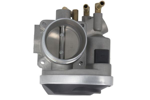 Throttle Body (ENT310010)