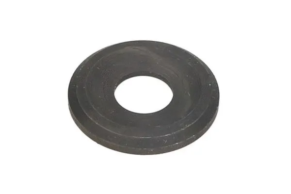 Seal, injector holder (ENT250157/1)