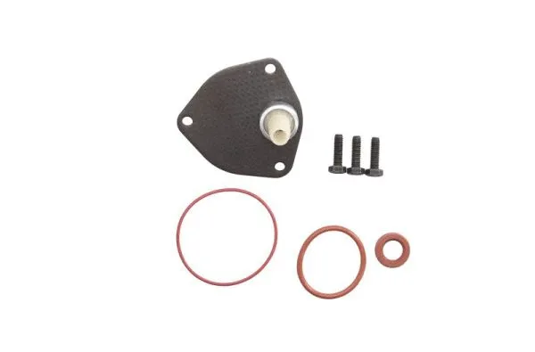 Repair Set, vacuum pump (braking system) (ENT410010)