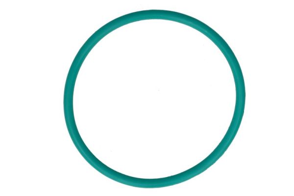 Gasket, intake manifold housing (ENT530003)