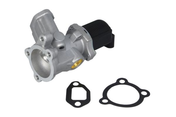 EGR Valve (ENT500026)