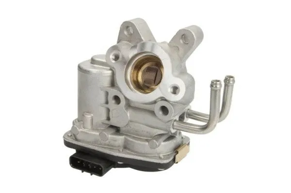 EGR Valve (ENT500063)