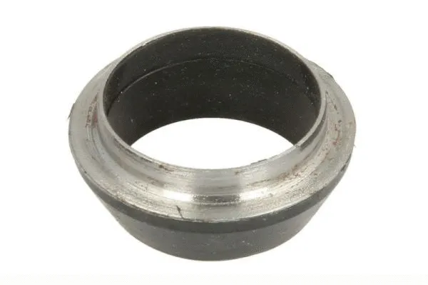 Seal Ring, injector