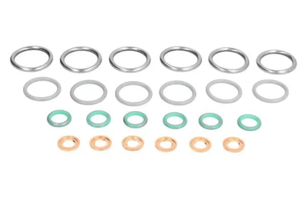 Seal Ring, injector (ENT250405)