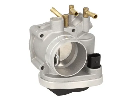 Throttle Body (ENT310023)