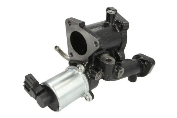 EGR Valve (ENT500116)