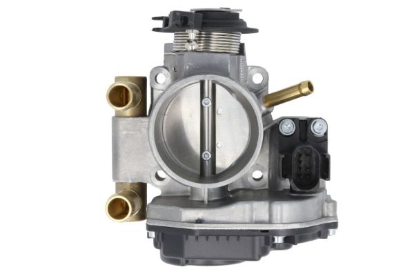 Throttle Body (ENT310026)