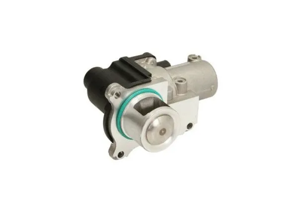 EGR Module