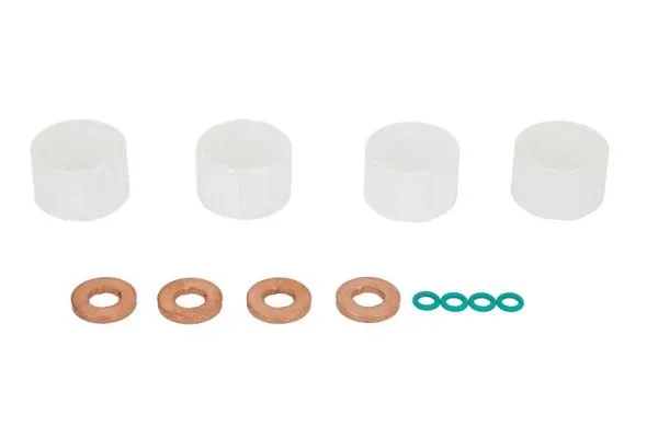 Repair Kit, injection nozzle (ENT250508)