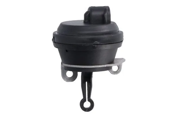 Valve, exhaust gas recirculation (ENT500503)