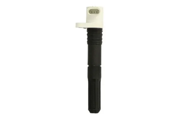 Ignition Coil (ENT960110)