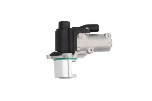 EGR Valve (ENT500141)