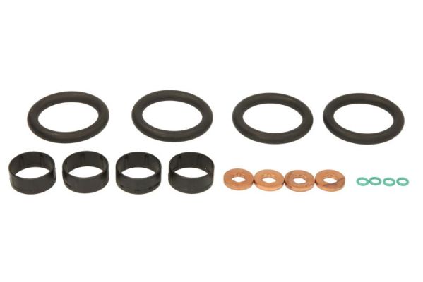 Repair Kit, injection nozzle (ENT250403)