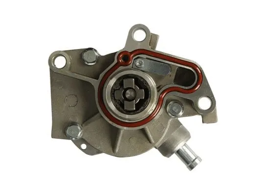 Vacuum Pump, braking system (ENT400007)