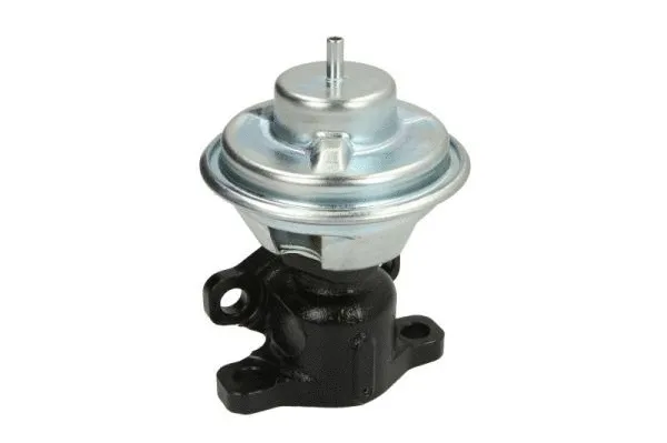 EGR Valve (ENT500133)