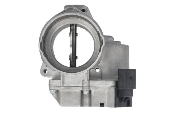 Throttle Body (ENT310015)