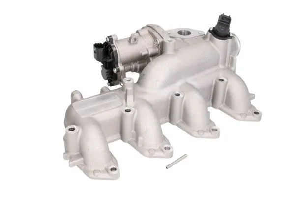 EGR Module (ENT320105)