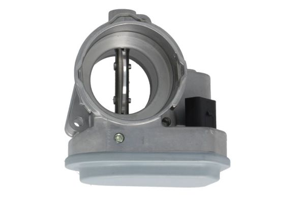 Throttle Body (ENT310012)