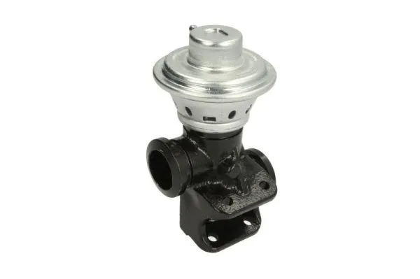 EGR Valve (ENT500134)