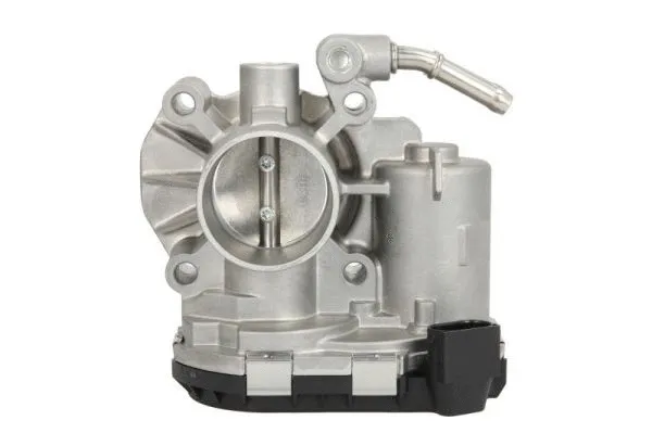 Throttle Body (ENT310038)