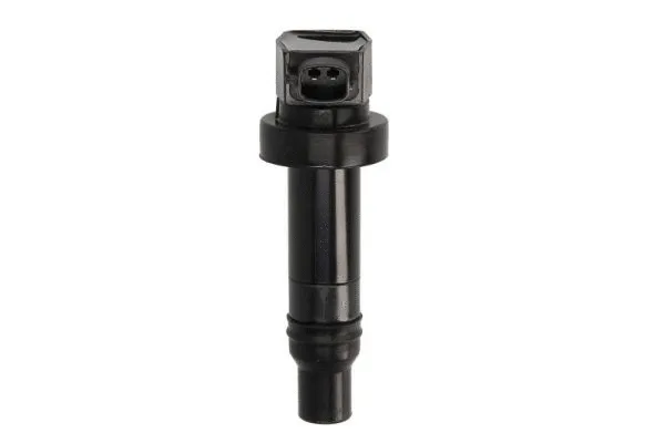 Ignition Coil (ENT960015)